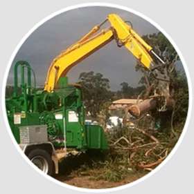 Valley Tree Services