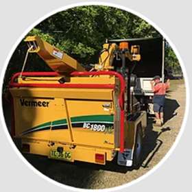 Valley Tree Services