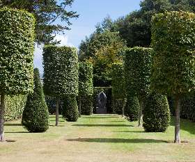 Northern Beaches Tree and Garden