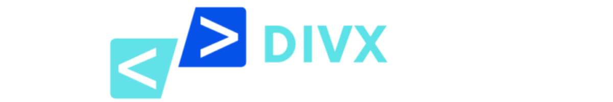DIVX CONSULTANTS Banner