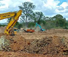 Charles Tree Services