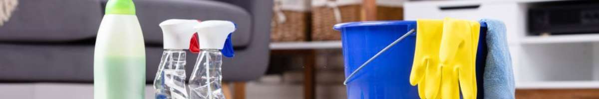 WOW Carpet Cleaning Adelaide Banner