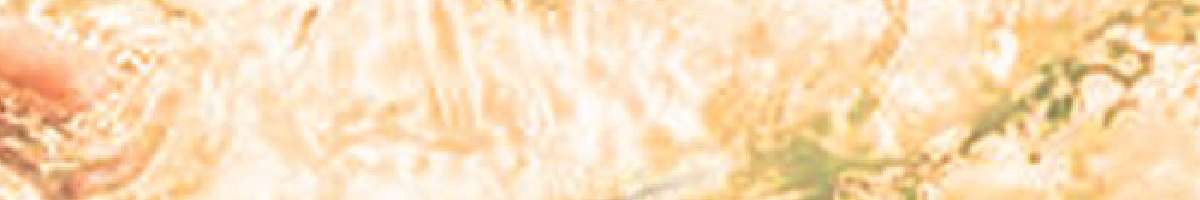 Marvelor Lubricants Pvt Ltd Banner