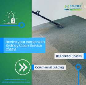 Carpet Cleaning