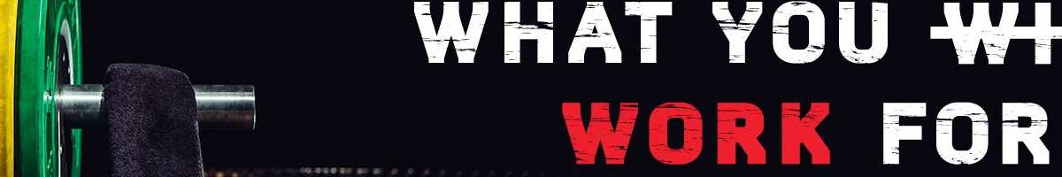 Training Day Gym Scoresby Banner