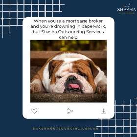 We offer a wide range of services that can help you free up your time and focus on what you do best - helping your clients - Shasha Outsourcing Service