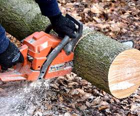 Bens Tree and Garden