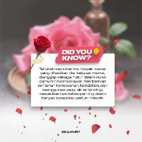 Did you know about rose for perfume? | ED Luxury