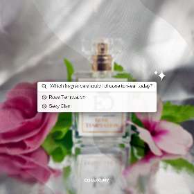 Which fragrance should I choose to wear today? | ED Luxury Perfume