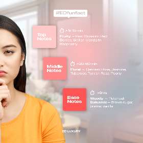 ED Funfact  | ED Luxury Perfume