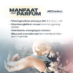 Fun Fact ED | ED Luxury Perfume