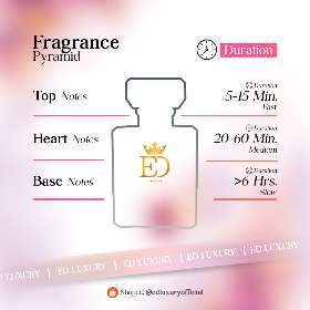 Fragrance Pyramid  | ED Luxury Perfume