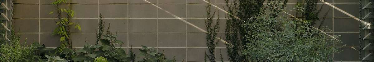 CO-architecture Banner