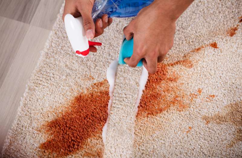 How to Remove Stubborn Carpet Stains in the Office