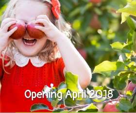 The Grove Early Learning