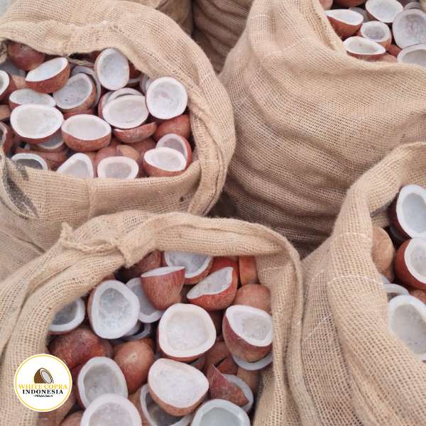 White Copra Indonesia's Solar Dryers: The Gold Standard in Copra Production