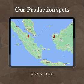 White Copra Indonesia