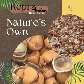 White Copra Indonesia