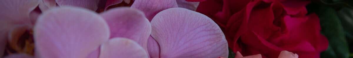 Ruby Oak Floristry Banner