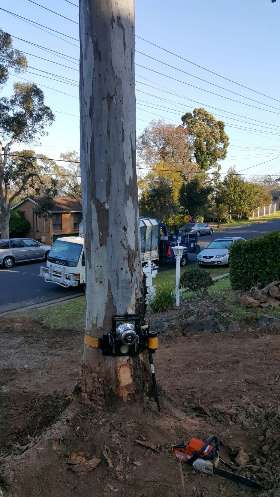 Alex Tree and Garden Services