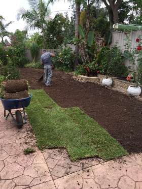 Alex Tree and Garden Services
