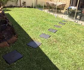 Alex Tree and Garden Services