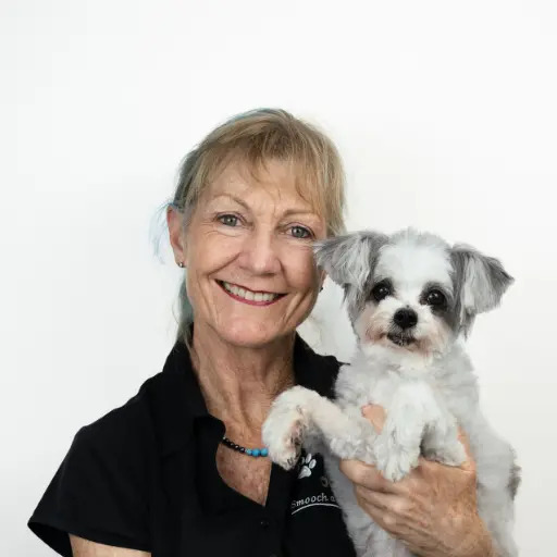 Dog Grooming Mini Course - Smooch a Pooch