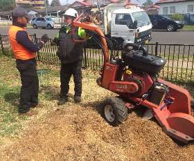 AAA Advanced Tree Lopping