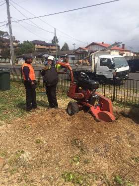 AAA Advanced Tree Lopping