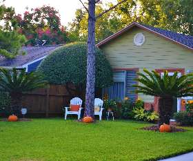 AAA Advanced Tree Lopping