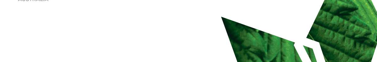 Medical Cannabis Australia Pty Ltd Banner