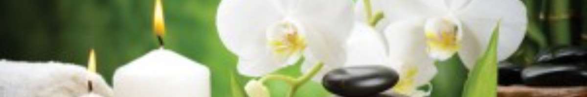 Spa Beautique Banner