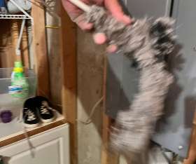 CityWide Dryer Vent Cleaning clogged vent service