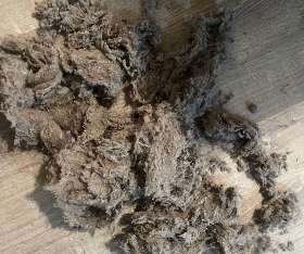 Dryer vent lint