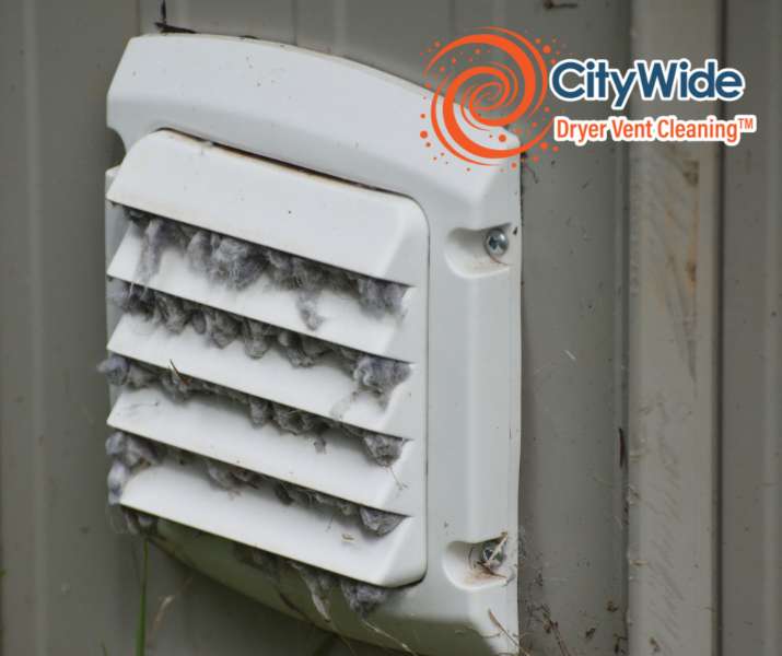 Looking for Professional Dryer Vent Cleaning Services in Oakville?