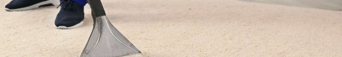 Shine Carpet and Pest Services Banner