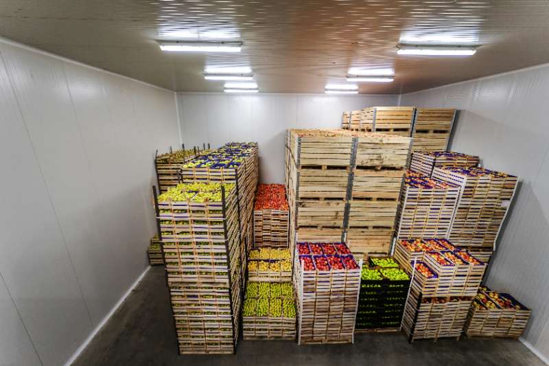 How to Choose the Right Refrigeration Solution for Your Business