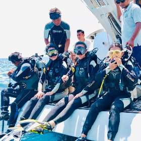 Diving Activity - Pulau Private Charters