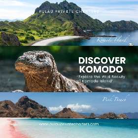 Explore the Wild Beauty of Komodo Island