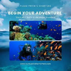 Begin Your Adventure 