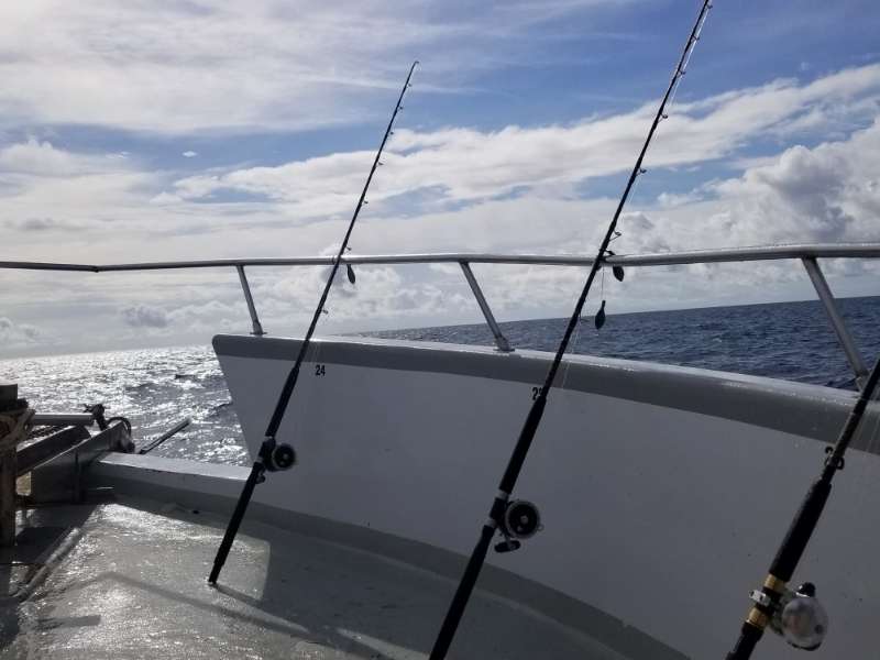 Best Fishing Charters in Bali: Where to Catch the Big One