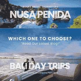 nusa penida or bali day trips?