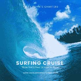 surfing cruise