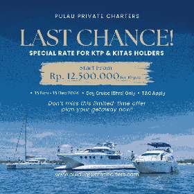 Last chance Promo!