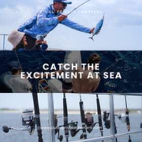 catch the excitement at sea