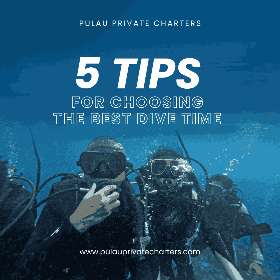 5 tips for choosing the best dive time!