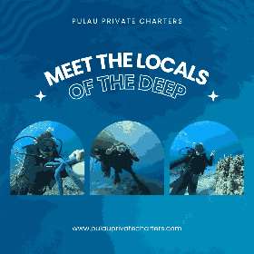 meet the locals of the deep