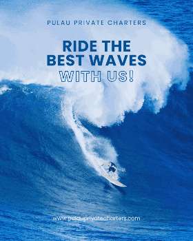 ride the best waves with us!