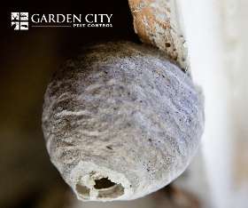 Garden City Pest Control