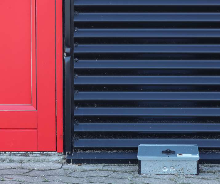 How to recognize if you have a rodent pest issue